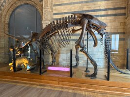 IMG_8853