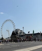 IMG_8938