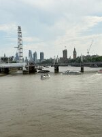 IMG_9008