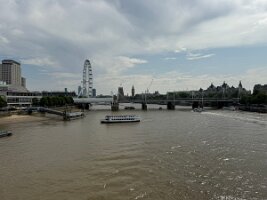 IMG_9013