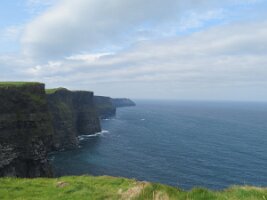 IMG_9855