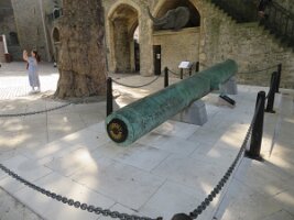 IMG_9981